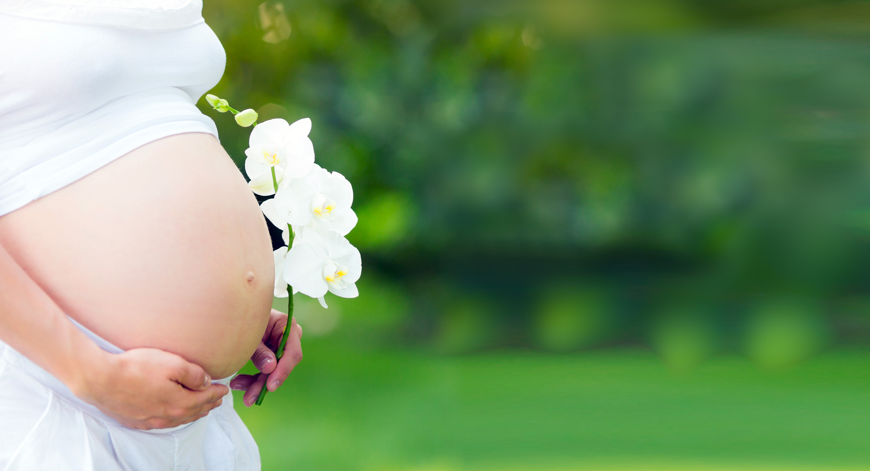pregnant-pregnancy-belly